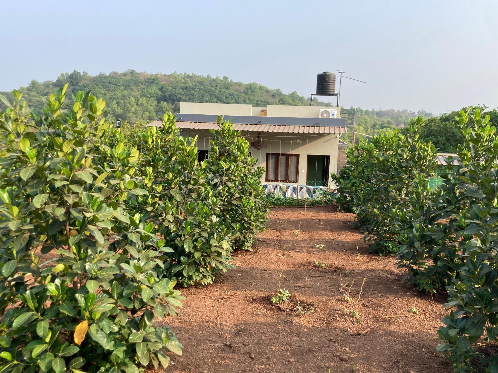 Вилла Mo'S Agro Pappinisseri Экстерьер фото